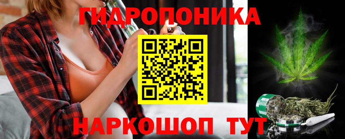 Шишки марихуана LSD WEED  Бошки марихуана план  МАРИХУАНА Ganja  Вход с VPN  Долгопрудный  Каннабис SATIVA & INDICA 